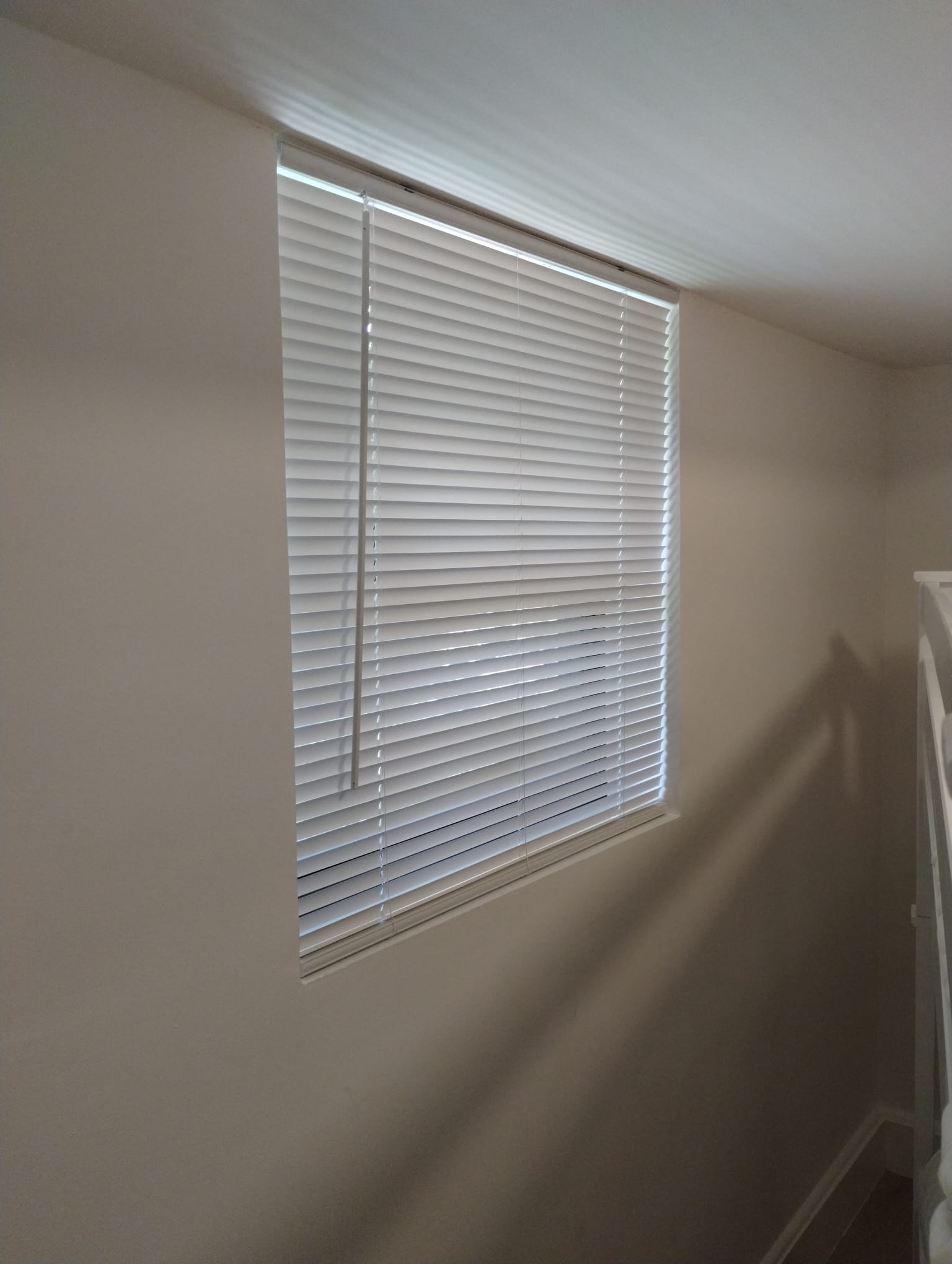 Window Blinds